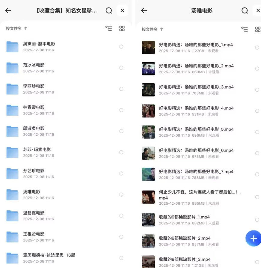 知名女星珍藏经典电影大合集，共15位人间尤物，1080P内嵌中文字幕