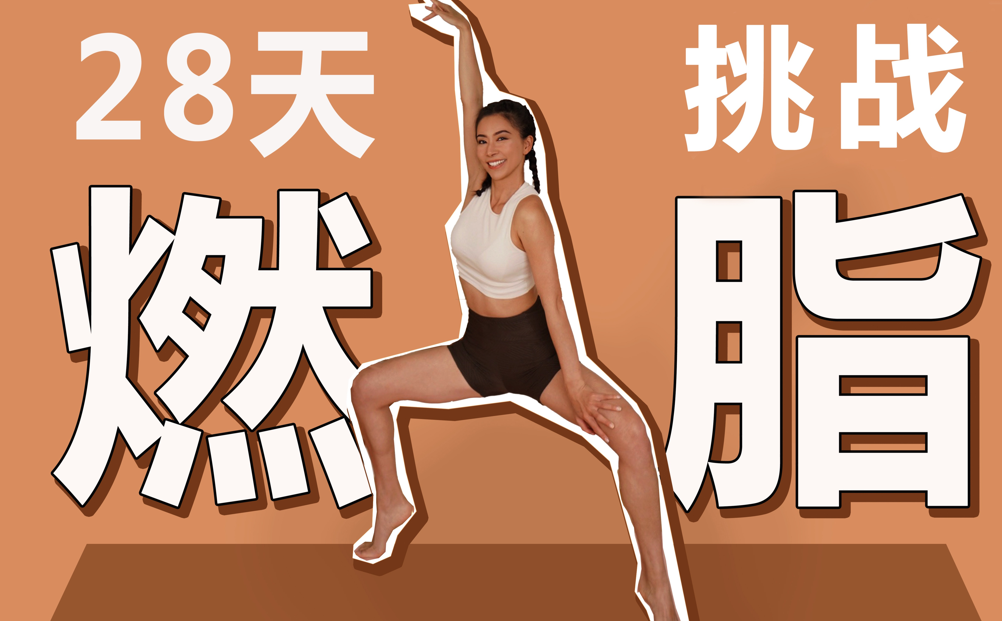 周六野28天减肥训练营【5.82G】