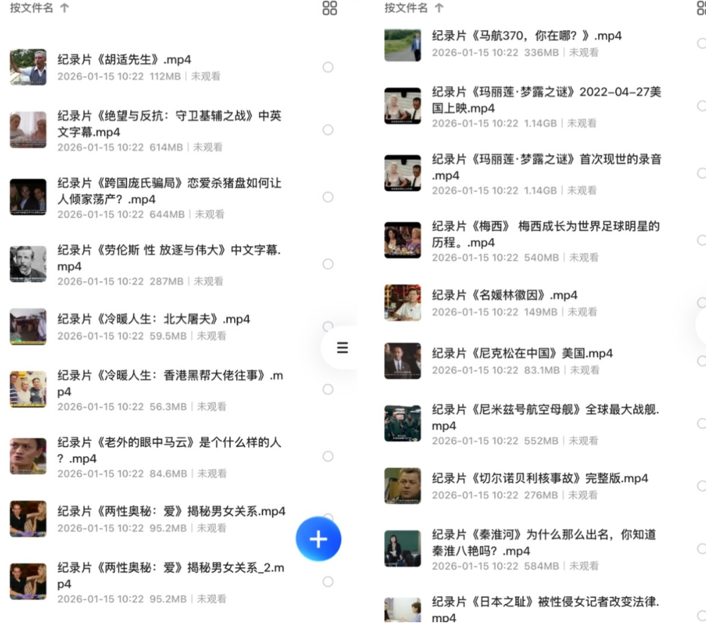 稀有纪录片资源：下架F禁纪录片88部合集 + 1080P分辨率 + 中英字幕